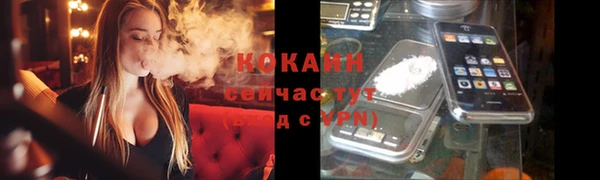 кокс Белокуриха