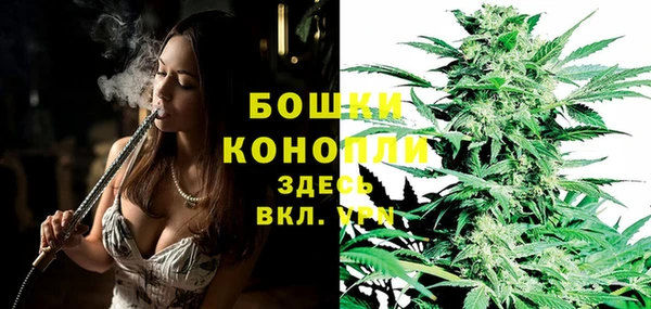 кокс Белокуриха