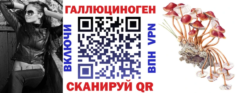 где купить   Волосово  Псилоцибиновые грибы мицелий 